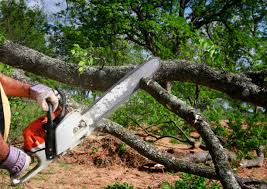 Mulching Services in Eagle Lake, TX